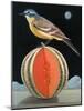 Bird on a Melon-ELEANOR FEIN-Mounted Giclee Print