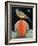 Bird on a Melon-ELEANOR FEIN-Framed Giclee Print