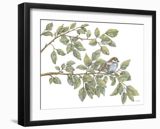 Bird on Branch I-Leslie Trimbach-Framed Art Print
