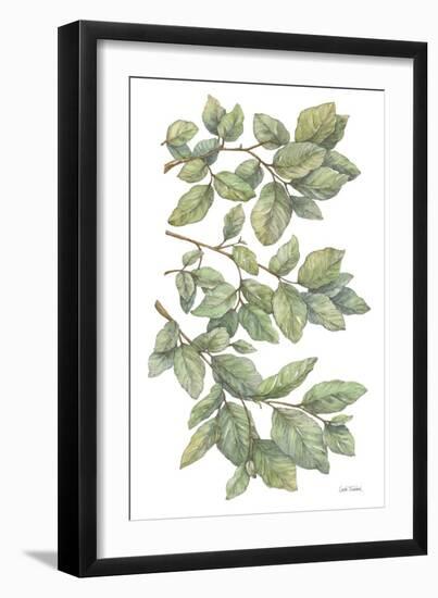 Bird on Branch II-Leslie Trimbach-Framed Art Print