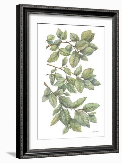 Bird on Branch II-Leslie Trimbach-Framed Art Print