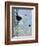 Bird on Branch-Bee Sturgis-Framed Art Print