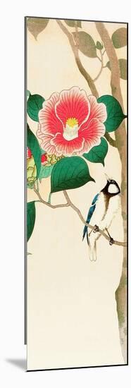 Bird on Camellia-Koson Ohara-Mounted Giclee Print