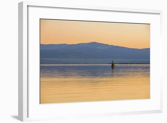 Bird On The Lake-Matias Jason-Framed Photographic Print