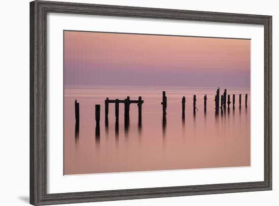 Bird on the Pier-Michael Blanchette Photography-Framed Photographic Print