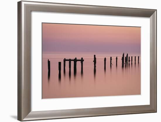 Bird on the Pier-Michael Blanchette Photography-Framed Photographic Print