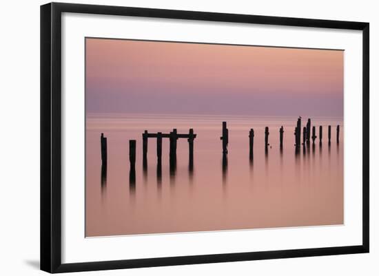 Bird on the Pier-Michael Blanchette Photography-Framed Photographic Print