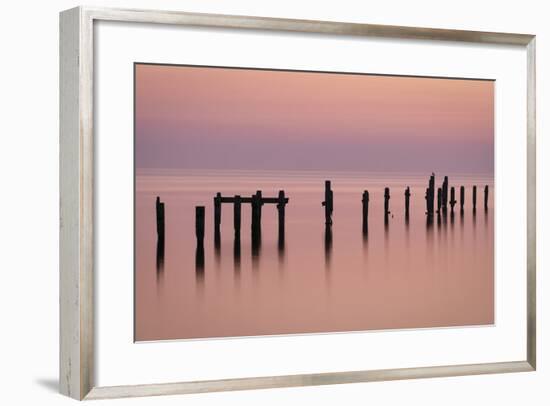 Bird on the Pier-Michael Blanchette Photography-Framed Photographic Print