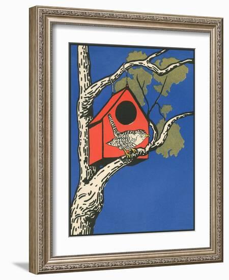 Bird Outside Birdhouse-null-Framed Art Print