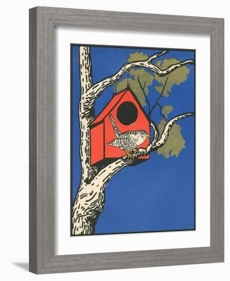 Bird Outside Birdhouse-null-Framed Art Print