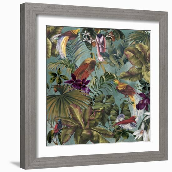 Bird Paradise Blue-Bill Jackson-Framed Giclee Print