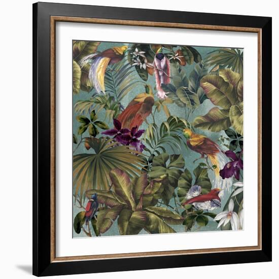 Bird Paradise Blue-Bill Jackson-Framed Giclee Print