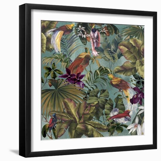 Bird Paradise Blue-Bill Jackson-Framed Giclee Print