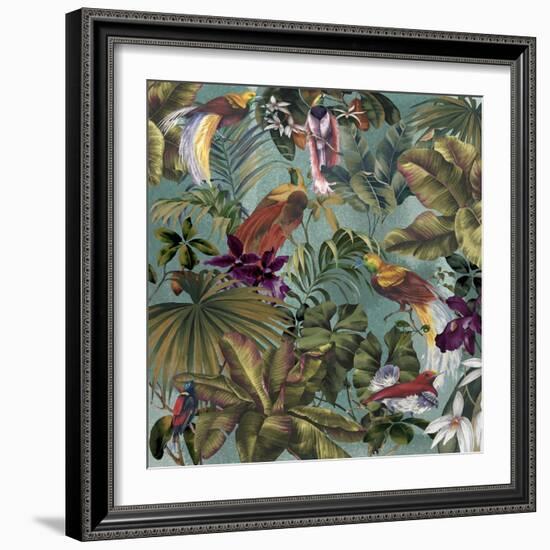 Bird Paradise Blue-Bill Jackson-Framed Giclee Print