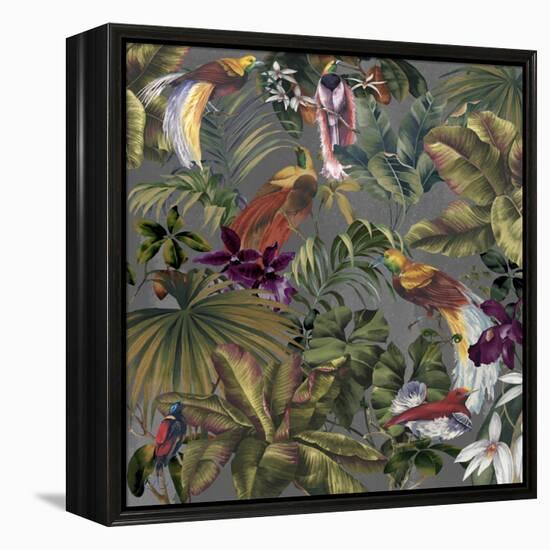 Bird Paradise Neutral-Bill Jackson-Framed Premier Image Canvas