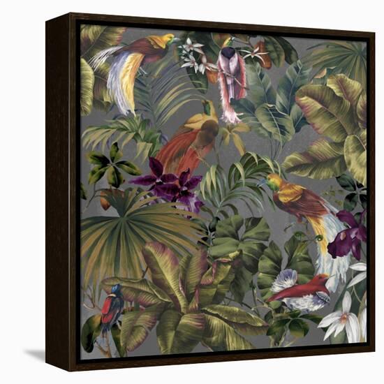 Bird Paradise Neutral-Bill Jackson-Framed Premier Image Canvas