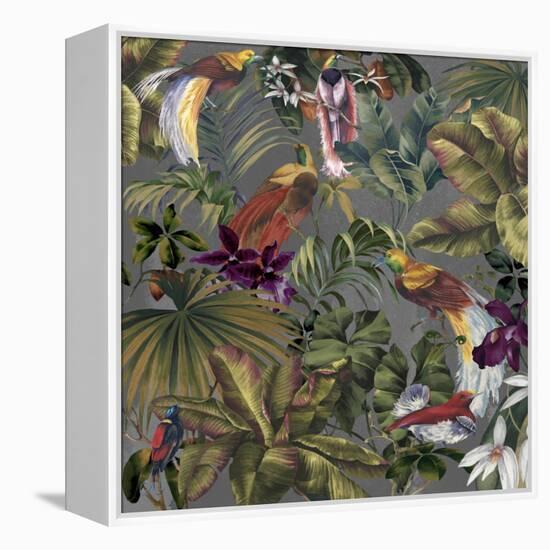 Bird Paradise Neutral-Bill Jackson-Framed Premier Image Canvas