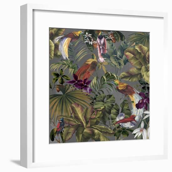 Bird Paradise Neutral-Bill Jackson-Framed Premium Giclee Print
