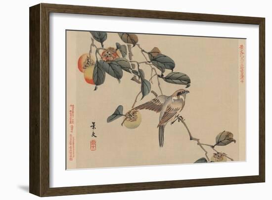 Bird Perched on a Branch from a Fruit Persimmon Tree.-Keibun Matsumura-Framed Art Print