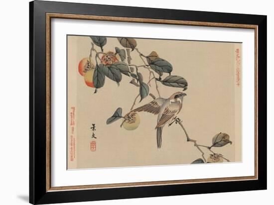 Bird Perched on a Branch from a Fruit Persimmon Tree.-Keibun Matsumura-Framed Art Print