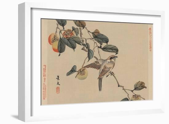 Bird Perched on a Branch from a Fruit Persimmon Tree.-Keibun Matsumura-Framed Art Print