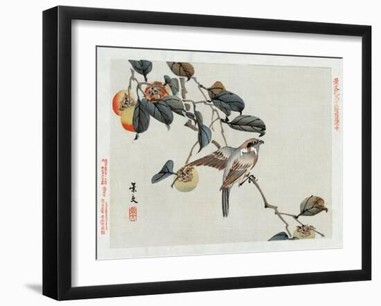 Bird Perched on a Branch from a Fruit Tree, Japanese Wood-Cut Print-Lantern Press-Framed Art Print