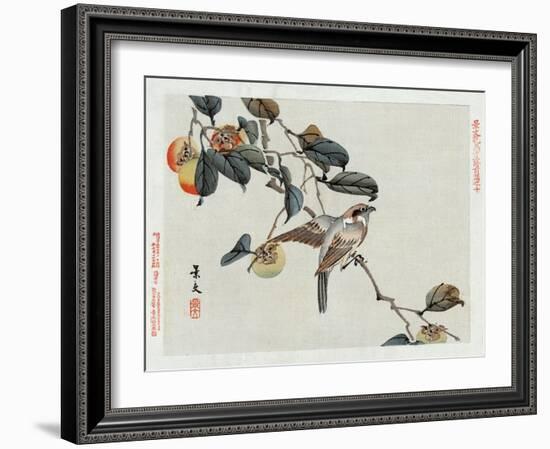 Bird Perched on a Branch from a Fruit Tree, Japanese Wood-Cut Print-Lantern Press-Framed Art Print