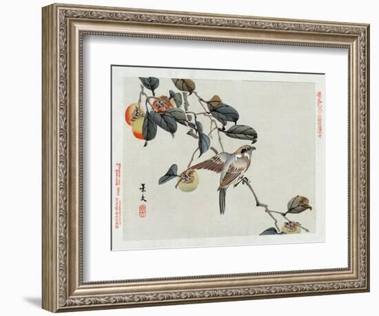 Bird Perched on a Branch from a Fruit Tree, Japanese Wood-Cut Print-Lantern Press-Framed Art Print