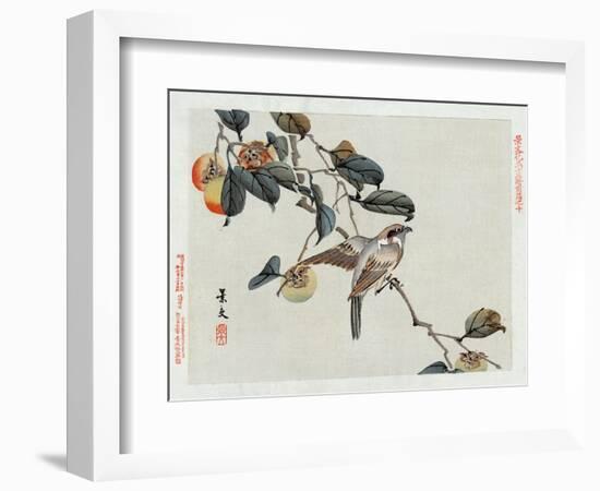 Bird Perched on a Branch from a Fruit Tree, Japanese Wood-Cut Print-Lantern Press-Framed Art Print