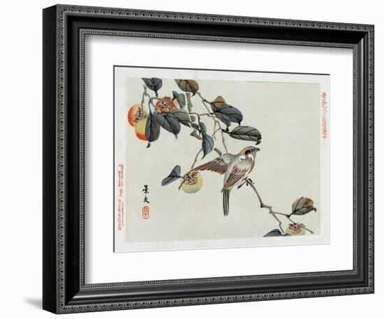 Bird Perched on a Branch from a Fruit Tree, Japanese Wood-Cut Print-Lantern Press-Framed Art Print