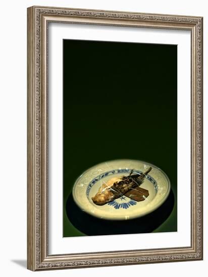 Bird Plate-Johan Lilja-Framed Photographic Print