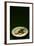 Bird Plate-Johan Lilja-Framed Photographic Print