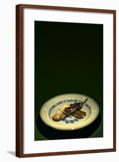 Bird Plate-Johan Lilja-Framed Photographic Print