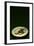 Bird Plate-Johan Lilja-Framed Photographic Print