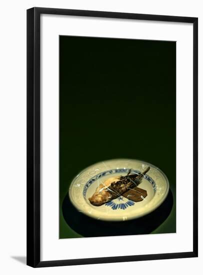 Bird Plate-Johan Lilja-Framed Photographic Print