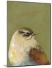 Bird Portrait I-Mehmet Altug-Mounted Art Print