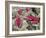 Bird Red Blood Cells, SEM-Steve Gschmeissner-Framed Photographic Print