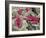 Bird Red Blood Cells, SEM-Steve Gschmeissner-Framed Photographic Print