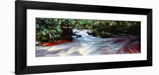 Bird River, Tasmania, Australia-null-Framed Photographic Print