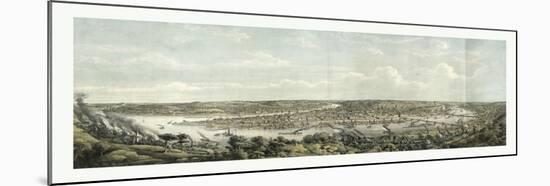 Bird's Eye View of Pittsburgh at the Confluence of the Monongahela-null-Mounted Giclee Print