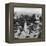 Bird's-Eye View of Salta-Mario de Biasi-Framed Premier Image Canvas