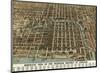 Bird’s Eye View of the Business District of Chicago, 1898-Poole Bros^-Mounted Art Print