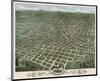 Bird’s Eye View of the City of Atlanta, Georgia, 1871-A^ Ruger-Mounted Art Print