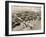 Bird's Eye View of the Columbian Exposition, Chicago, 1893-null-Framed Giclee Print