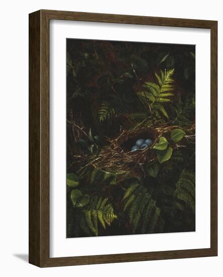 Bird's Nest and Ferns, 1863-Fidelia Bridges-Framed Giclee Print