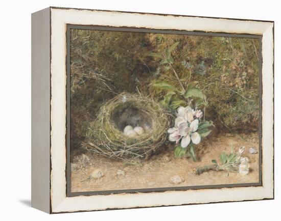 Bird's Nest with Sprays of Apple Blossoms-William Henry Hunt-Framed Premier Image Canvas