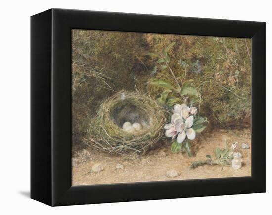 Bird's Nest with Sprays of Apple Blossoms-William Henry Hunt-Framed Premier Image Canvas