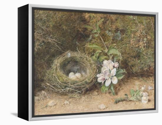 Bird's Nest with Sprays of Apple Blossoms-William Henry Hunt-Framed Premier Image Canvas