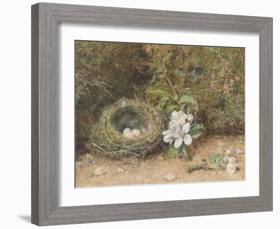 Bird's Nest with Sprays of Apple Blossoms-William Henry Hunt-Framed Giclee Print