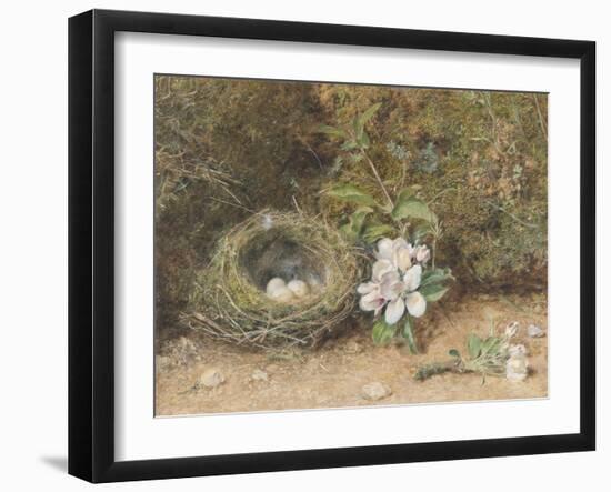 Bird's Nest with Sprays of Apple Blossoms-William Henry Hunt-Framed Giclee Print